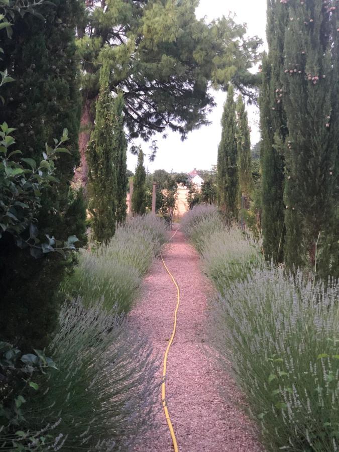 Les Jardins Haute Couture Huismes Eksteriør billede