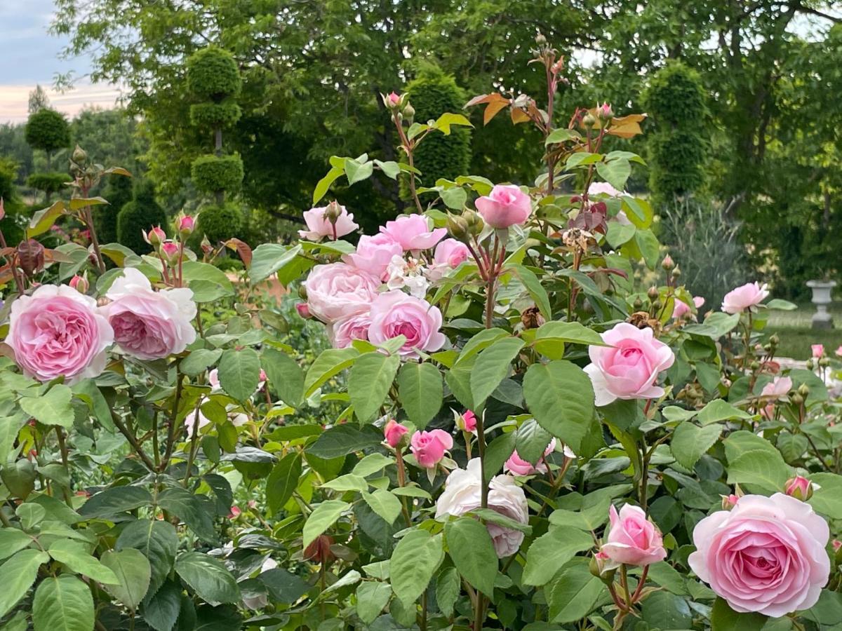 Les Jardins Haute Couture Huismes Eksteriør billede